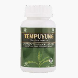 KAPSUL TEMPUYUNG