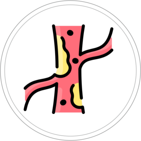 KOLESTEROL