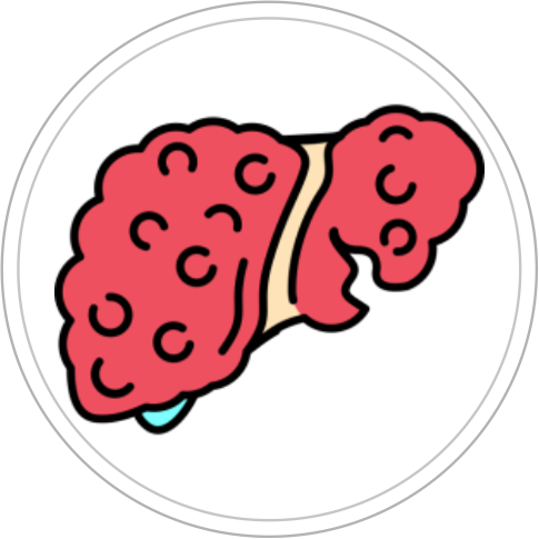 HATI / HEPATITIS